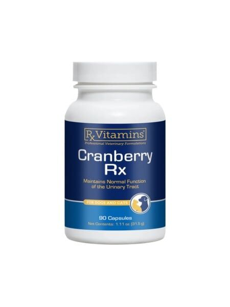 Cranberry Rx 90 capsule – Supliment Urinar Naturist pentru Câini și Pisici 1 cranberry rx 90 capsule supliment urinar caucini pisici pets Rx Vitamins