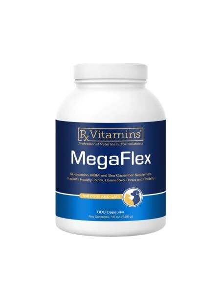 MegaFlex 600 capsule – Supliment Articulatii pentru Câini și Pisici 1 megaflex 600 capsules glucosamine MSM pet joint supplement