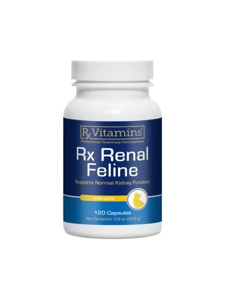 Rx Renal Feline 120 capsule 1 rx renal feline 120 capsule supliment renal pisici veterinare